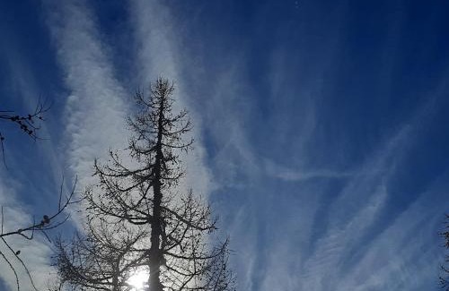 Alpe Ciamporino Apartment | Monoloc. Bosco delle Fate
