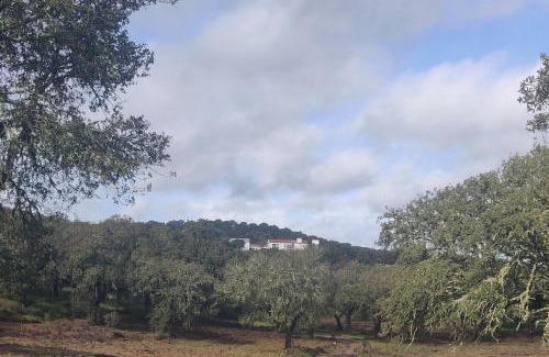 Bajolo Bed & Breakfast | Monte do Roque