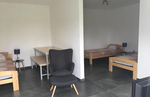 Mainz-Bingen Apartment | Monteurwohnung 1