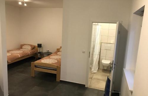 Mainz-Bingen Apartment | Monteurwohnung 1