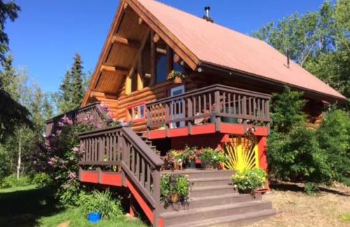 Fairbanks House | Moose Mountain Cabin- Cozy retreat with aurora views