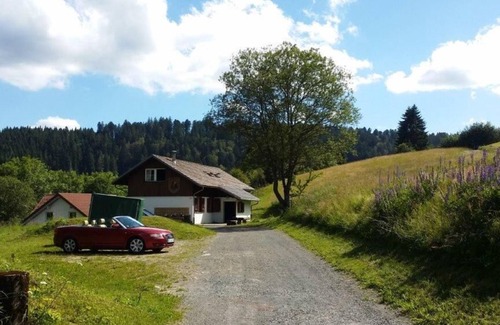 Todtmoos Apartment | Moosybärhütte, Gruppenunterkunft für bis zu 31 Personen