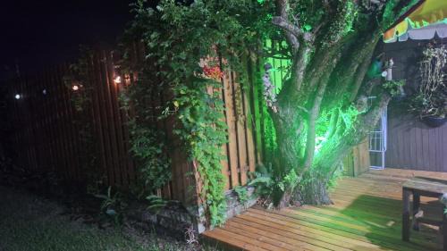 Centro Apartment | Morada Héstia