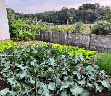 Sideropolis House | Morada Ignese