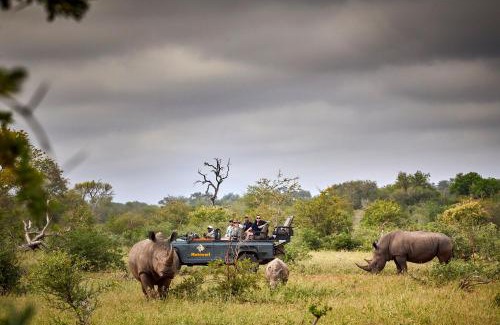 Kruger National Park Hotel | Motswari African Retreat & Walking Safaris by NEWMARK