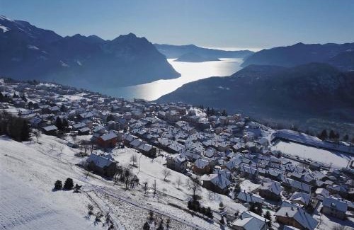 Bossico Apartment | Mountain and Iseo Lake Mountain Lake Iseo Hospitality