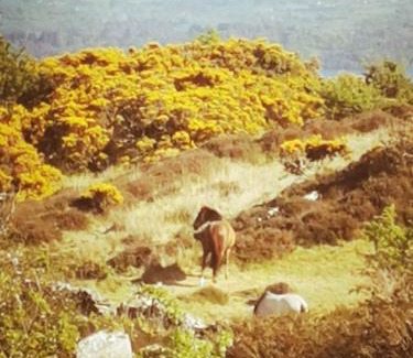 Cornamona House | Mountain Cottage with Barn Sauna, Clonbur, Galway