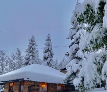 Ravna Gora Ski Chalet | Mountain house Beauty of Laz