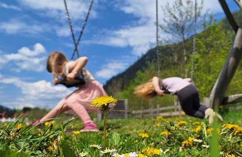 Flachau Apartment | Mountain Lodge