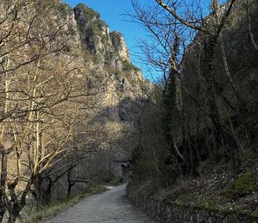 Konitsa Apartment | Mountain Serenity