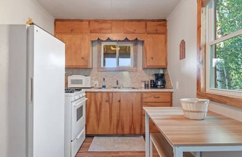 Custer Cabin | Mountain View Gem: Firepit + Sauna + Enjoy Wildlife