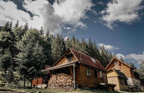 Lacu Rosu Ski Chalet | Mountain View Tiny House