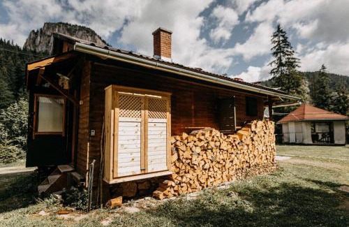 Lacu Rosu Ski Chalet | Mountain View Tiny House