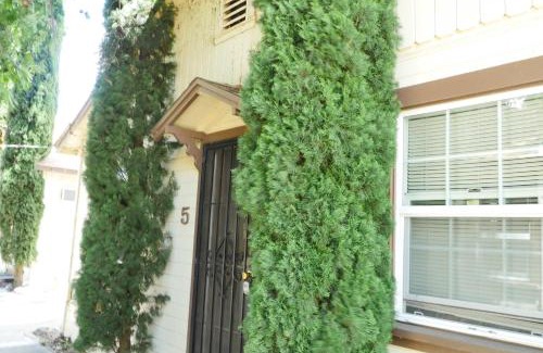 Clearlake Apartment | Mt Konocti View