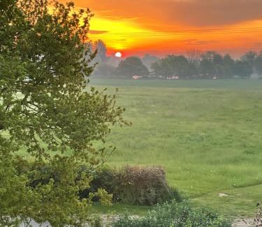 Southminster Other | Muffins Meadow Shepherds Hut