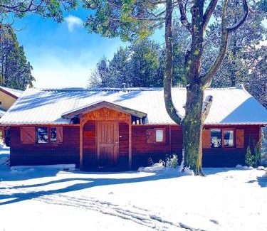 Peninsula San Pedro House | MUID - Cabaña en Peninsula de San Pedro