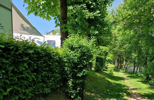 Nideggen Apartment | Multi-bed room for 4 guests with 8m² in Nideggen (272049)