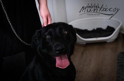 Bekescsaba Hotel | Munkácsy Hotel