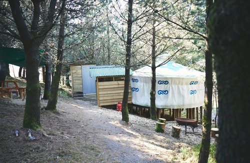 Glandyfi Cabin | Mushroom Yurt set in 4 Acres of Woodland and Lakes