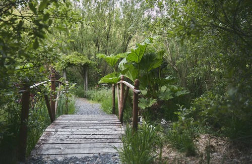 Glandyfi Cabin | Mushroom Yurt set in 4 Acres of Woodland and Lakes