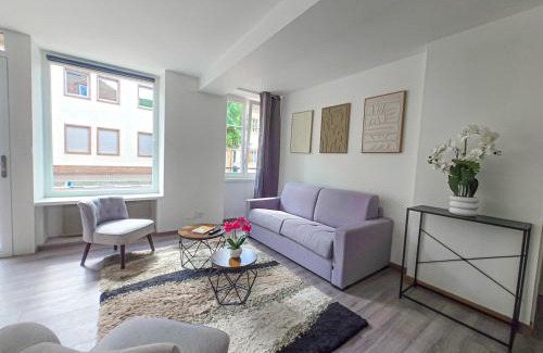 Mutzig Apartment | Mutzig - Côté Rue - WIFI Climatisation parking