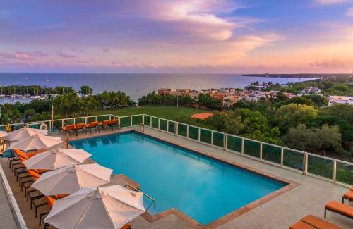 Coconut Grove Apartment | MVR - Front-Row Seat to Grove-s Natural Beauty