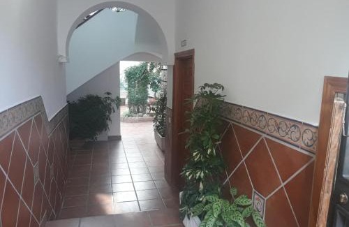 San Francisco-Ribera Apartment | My Andalusian Passion Mi Pasion Andalusi