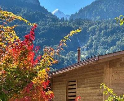 Meiringen Apartment | My Chalet
