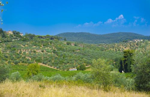 Panzano in Chianti Villa | My Exclusive Italy - Villa Chianti with pool near the vineyard