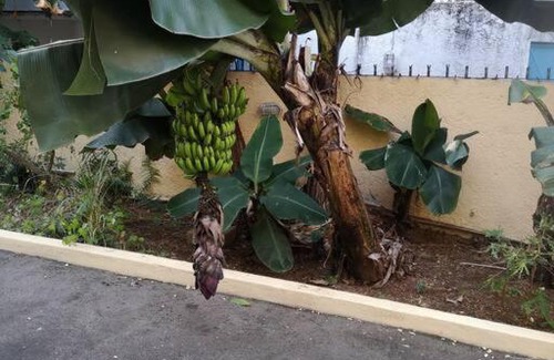 Wolmar Apartment | My lîl Place rental unit in a beach facing complex