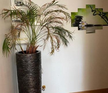 Socourt Apartment | My Love Room avec balnéo privative & déco romantique by BoookingFuté