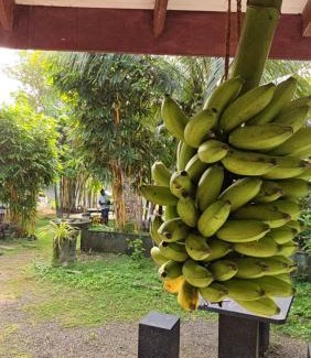 Midigama Hotel | My Paradise