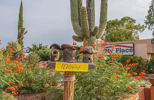 Collins Hotel | My Place Suites