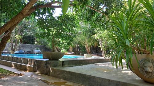 Mahasenpura Bed & Breakfast | My Village