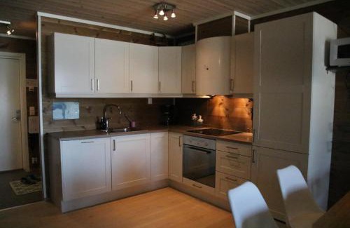Vossestrand Apartment | Myrkdalen Resort Årmotssteien