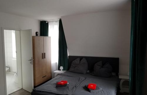 Auerbach Apartment | Nähe Plohn Park - FEWO mit großem Balkon und Gästezimmer Wiesnblick
