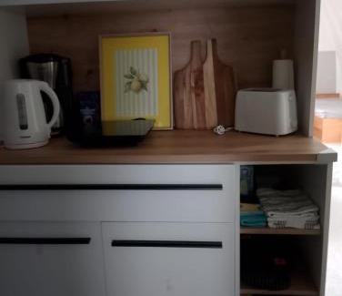 Auerbach Apartment | Nähe Plohn Park - FEWO mit großem Balkon und Gästezimmer Wiesnblick