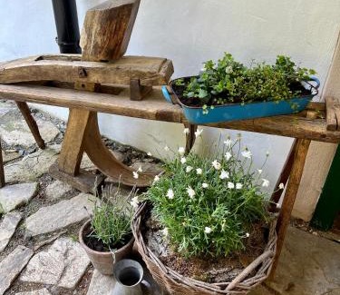 Mala Morava House | Na Staré myslivně