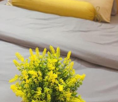 Yen Son Bed & Breakfast | Na Tuệ An-Homestay Số 3 Hoàng Văn Thái