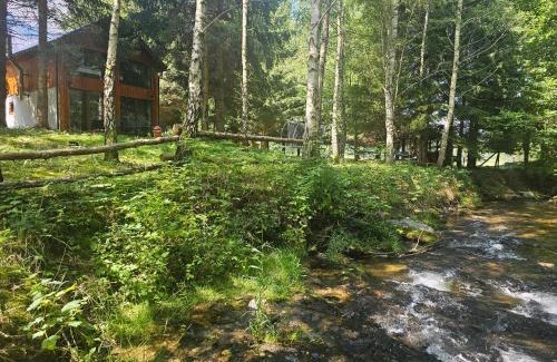 Boleslawow Ski Chalet | Nad Potokiem z Alpakami