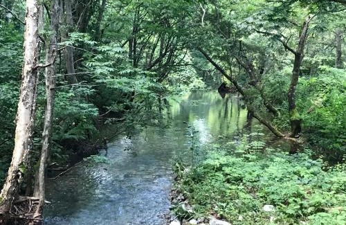 Yuzawa Apartment | Naeba Ski Resort & Fuji Rock