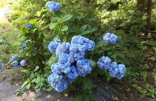 Yuzawa Apartment | Naeba Ski Resort & Fuji Rock