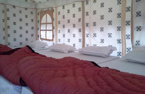 Allahabad Other | Nagvasuki Family Camps