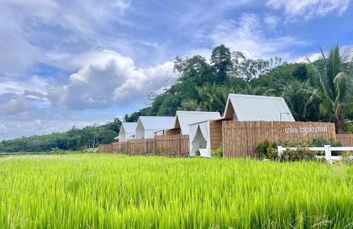 Wiang Sa House | Nalai View Cafe'&Restaurant/Homestay