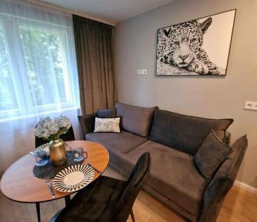 Plunge Apartment | Namų mūza "C" SELF CHECK IN
