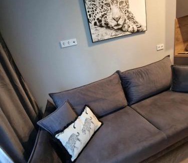Plunge Apartment | Namų mūza "C" SELF CHECK IN