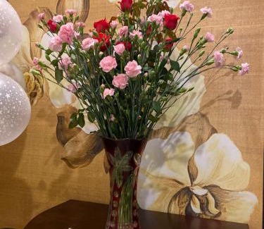 Dich Vong Hau Hotel | Nam Cường X Hotel