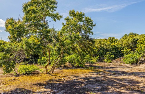 Chelem Villa | Natural Refuge min. from the sea | Flamingo Villas