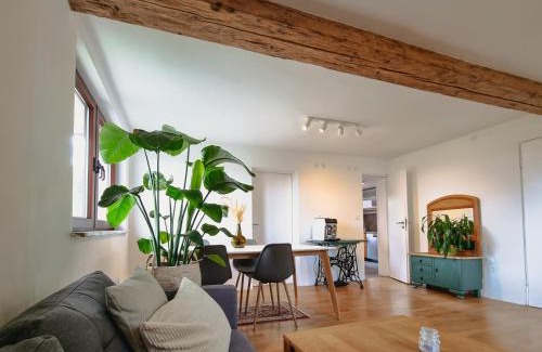Neustadt bei Coburg Apartment | Naturblick Apartment - Modernes 3-Zimmer mit Privatparkplatz