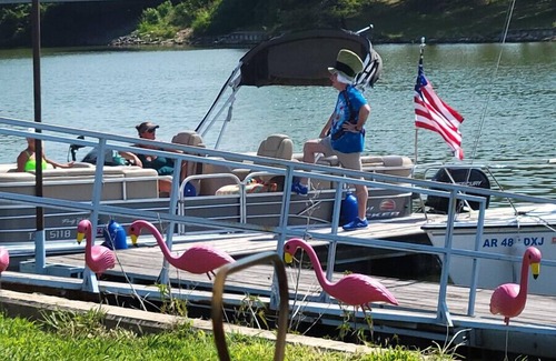 Lake Village Cabin | Nature's Playground: Your Front Yard is Lake Chicot!